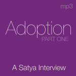 store_adoption_1